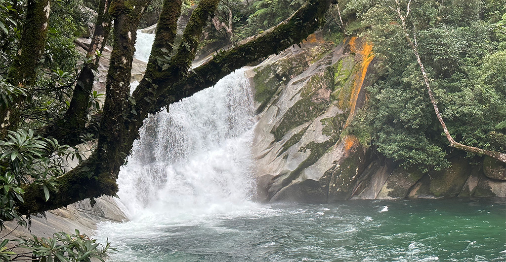 Rainforest waterfall and a clear pool, the landscape of Qigong for Wellness